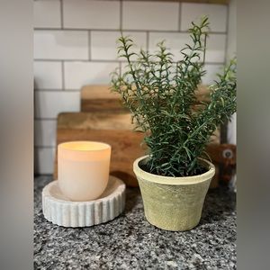 Studio McGee Threshold Tree